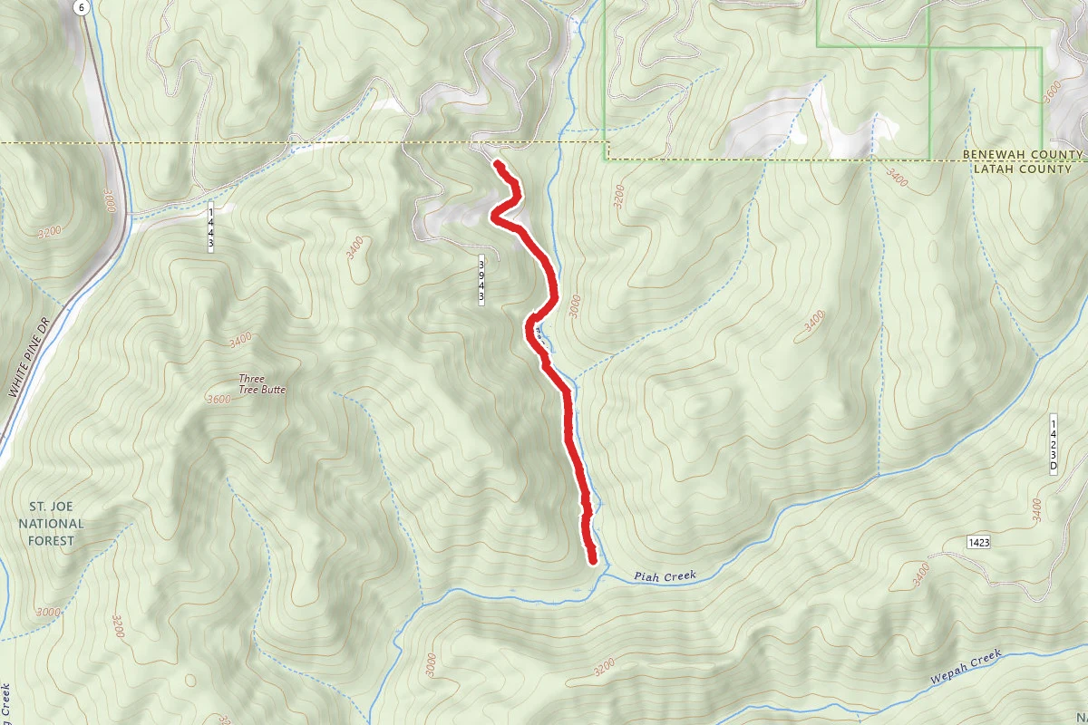 East Fork Meadow Creek
