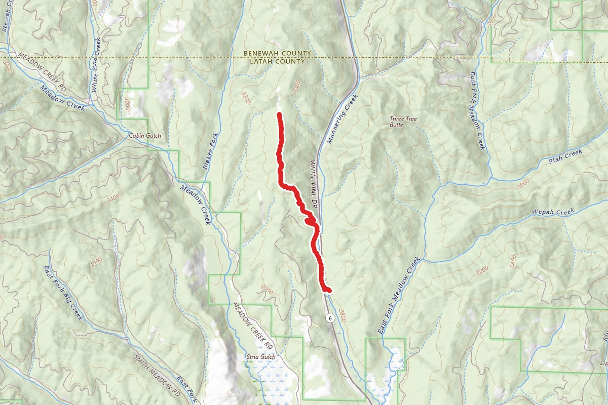 Old Sampson Connection