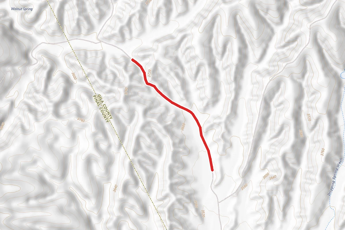 Dripping Springs Road