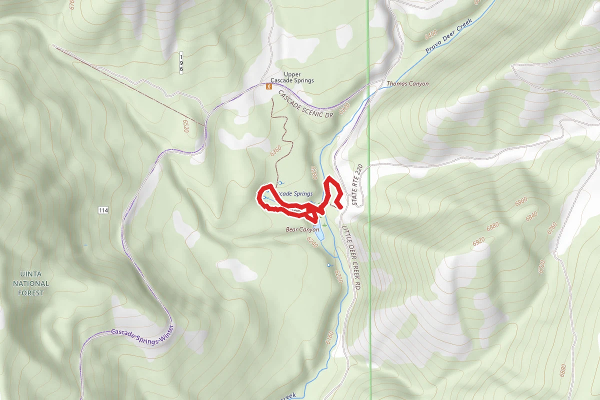 Cascade Springs Interpretive Trail