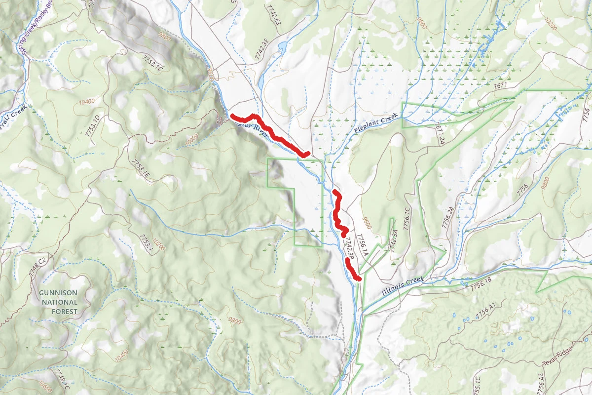 Taylor River Trail