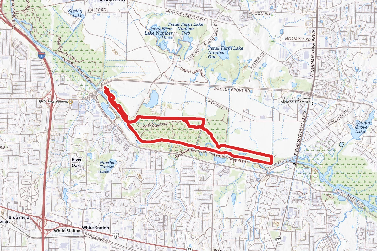 Wolf River Trails from Walnut Grove Road