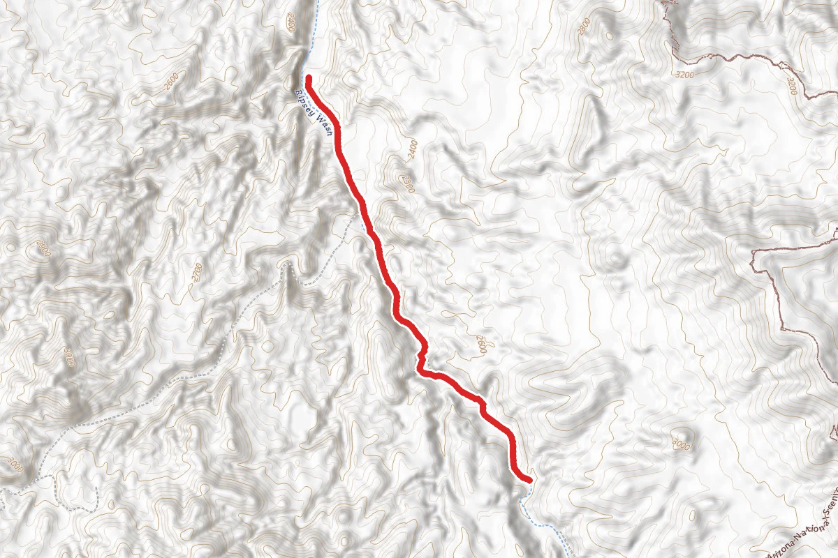 Ripsey Wash
