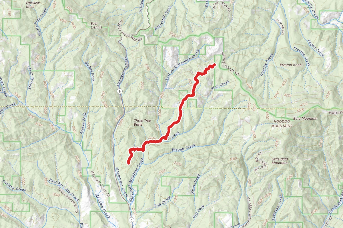 East Fork Meadow Creek