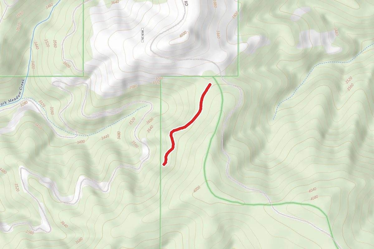 East Fork Meadow Creek
