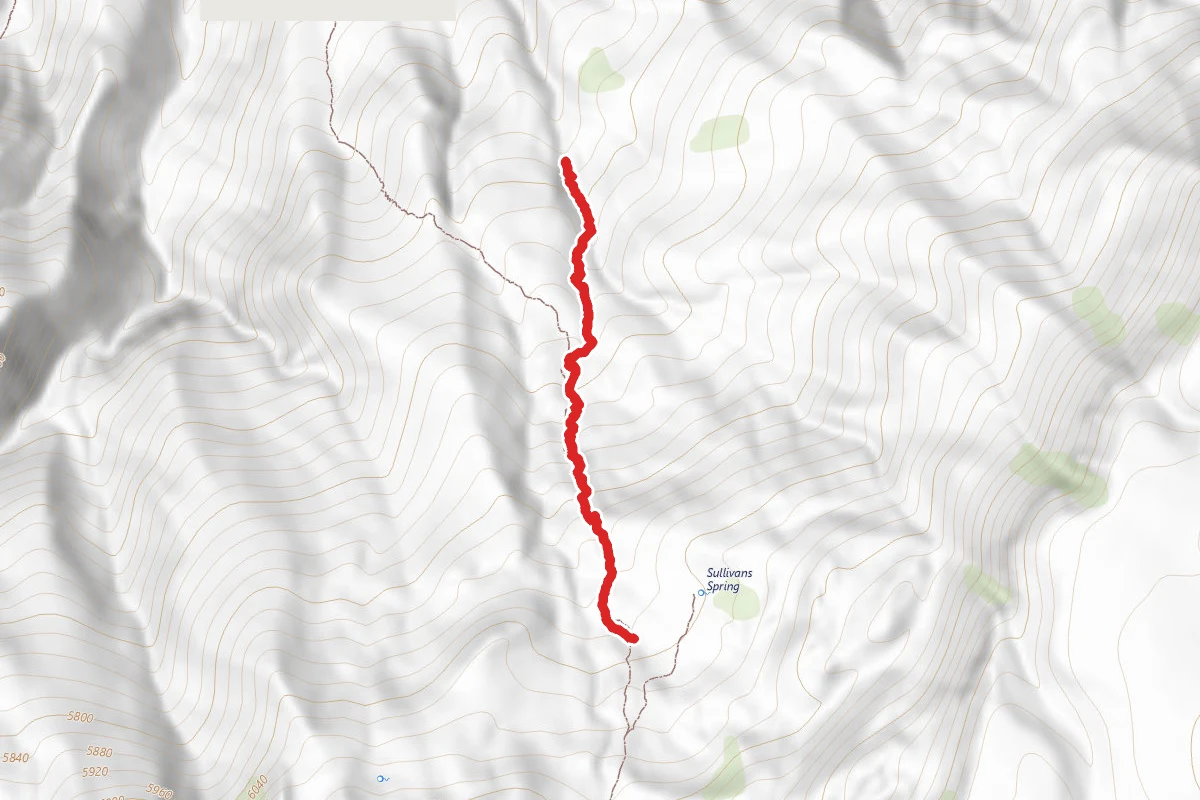 Paiute Trails