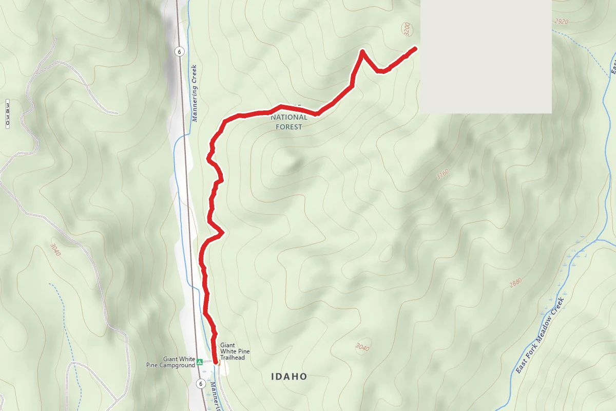 East Fork Meadow Creek