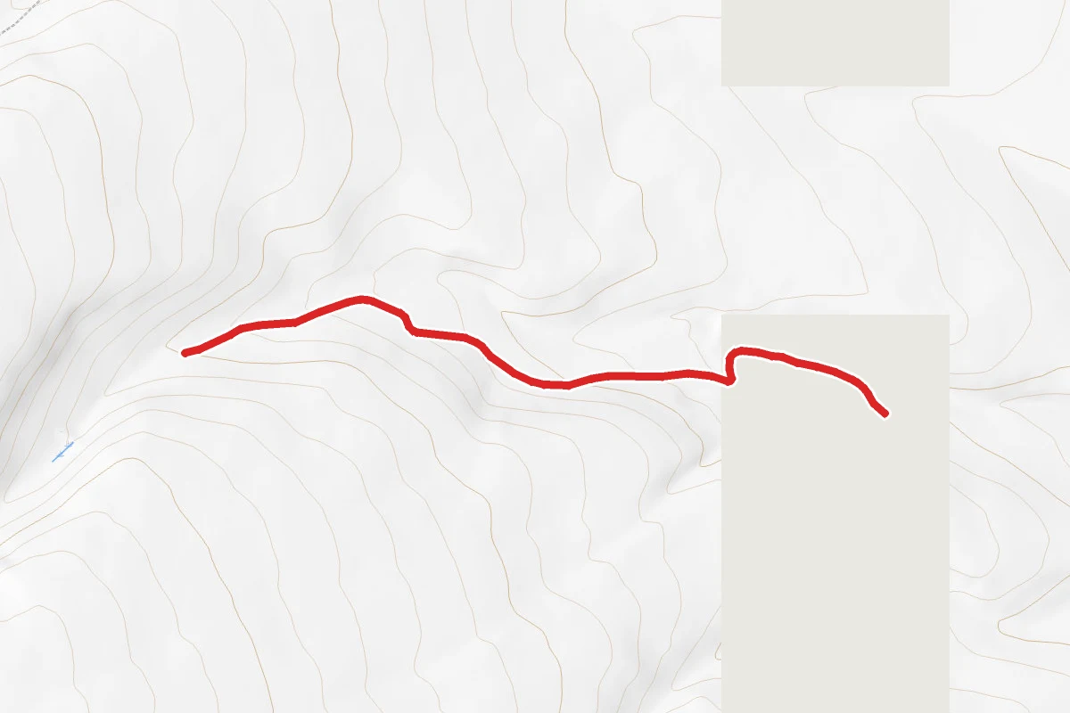 Alamaditas Road