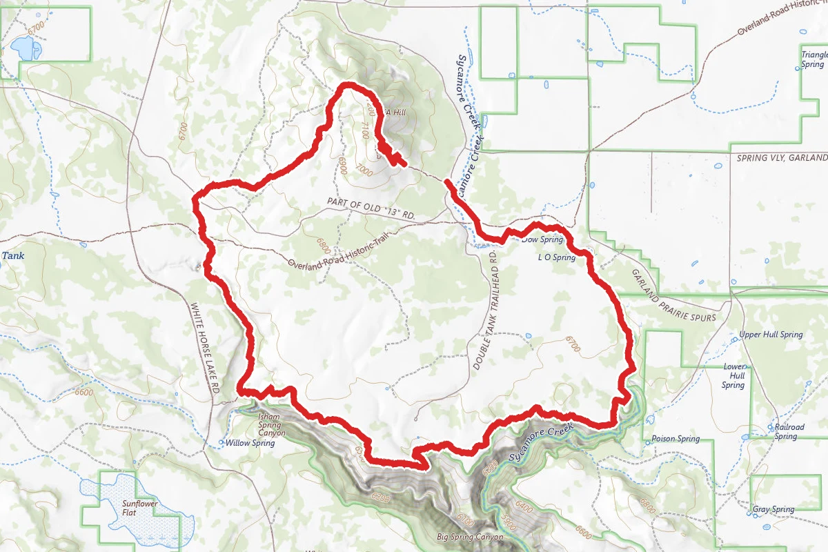 Sycamore Rim Trail