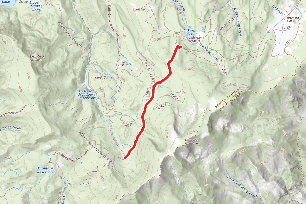 Road 575 to Big Flat