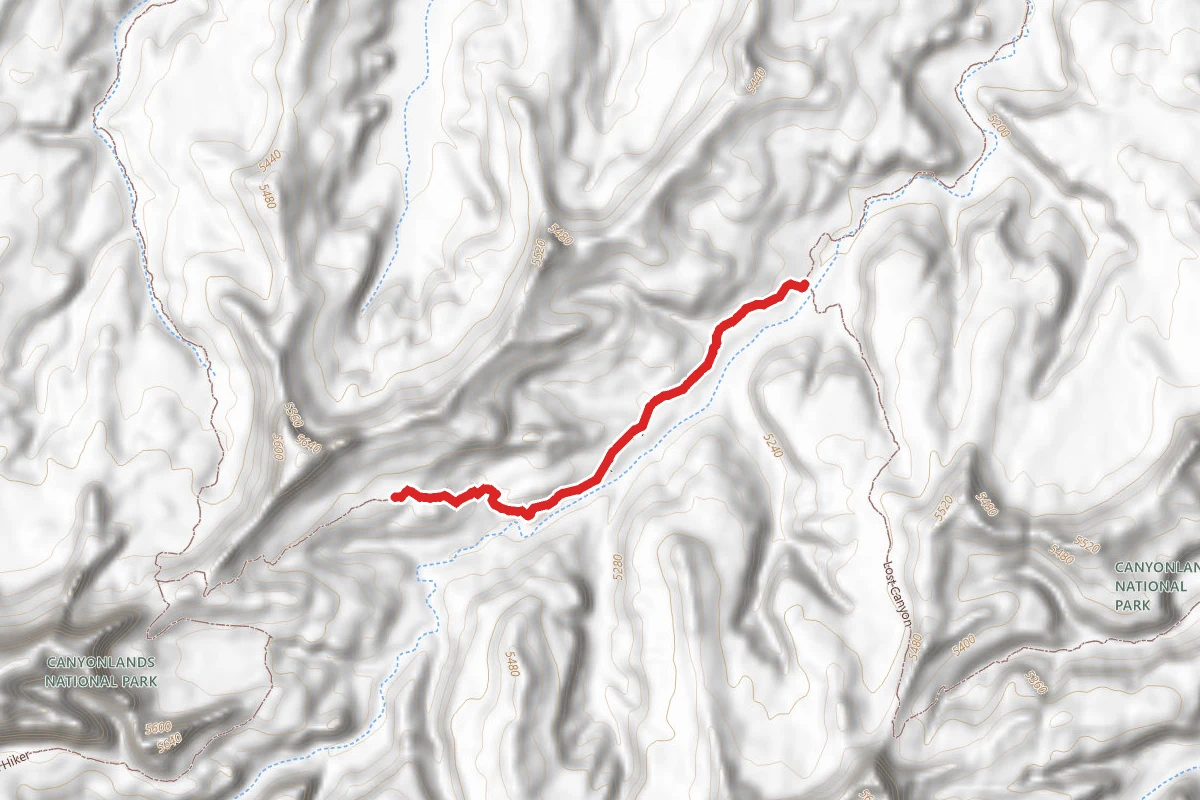 Bug Canyon