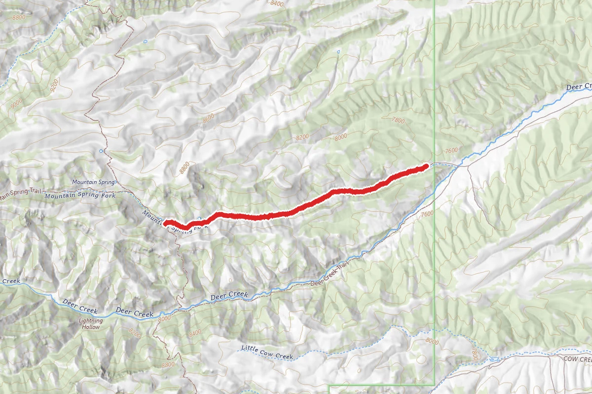 Mountain Spring Trail
