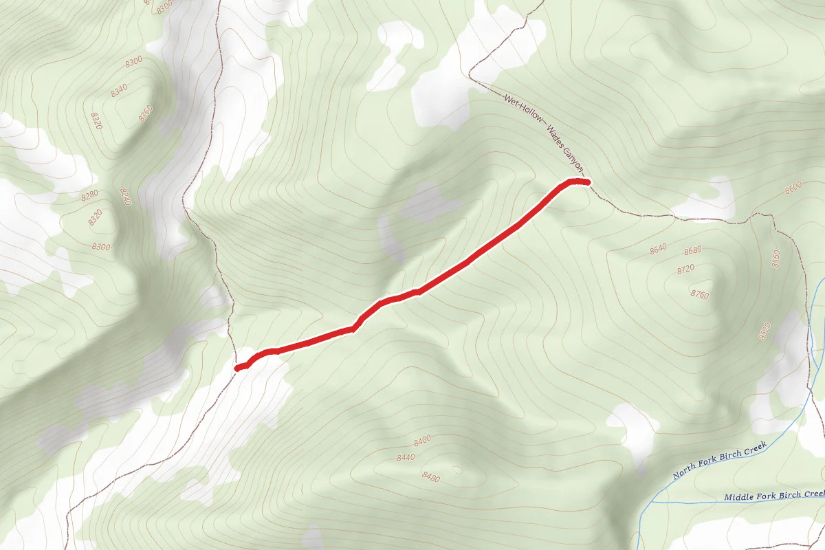 Patterson Hollow