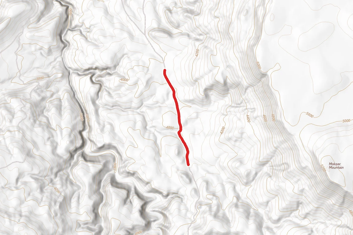 Black Rock Gulch