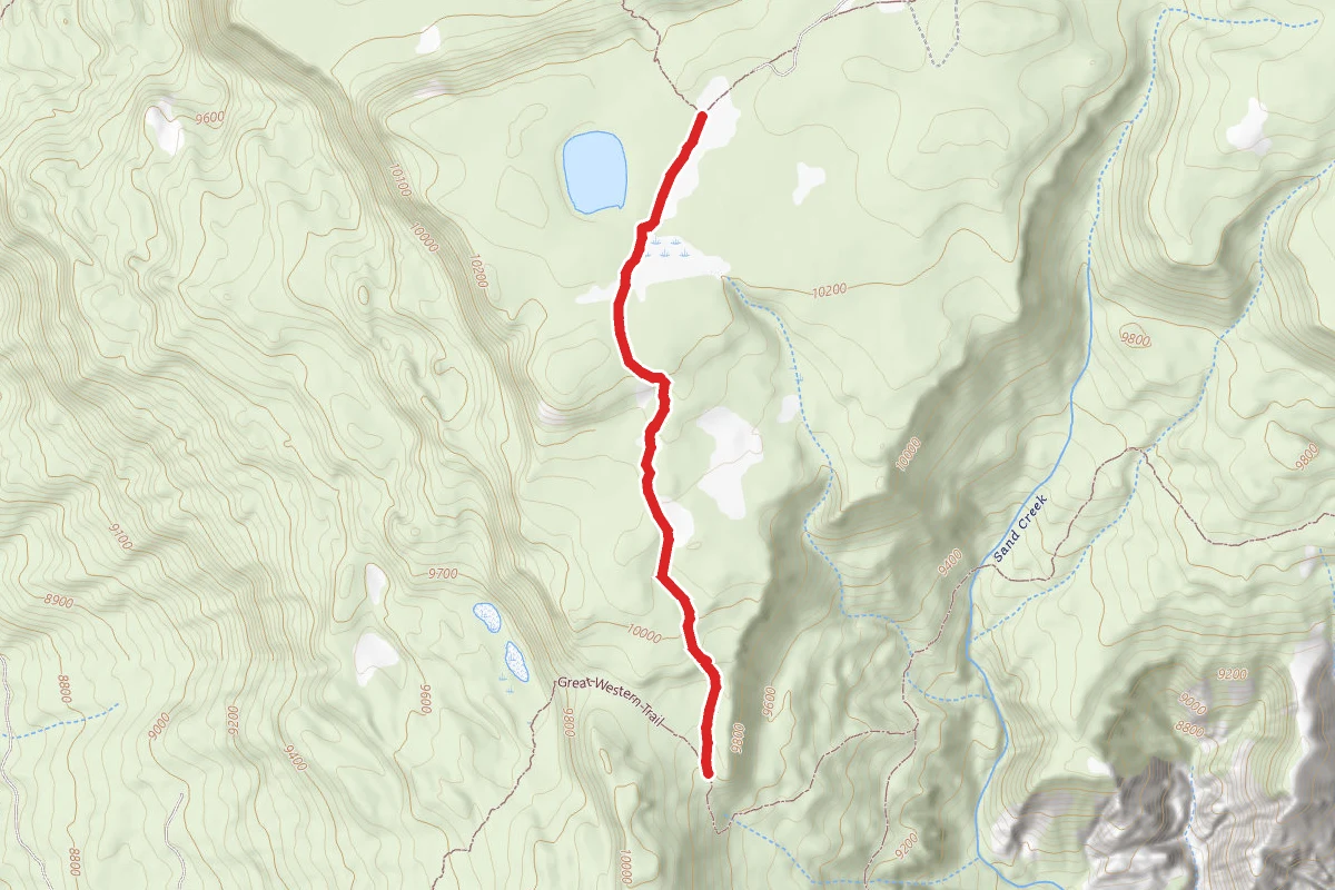 Burr Top
