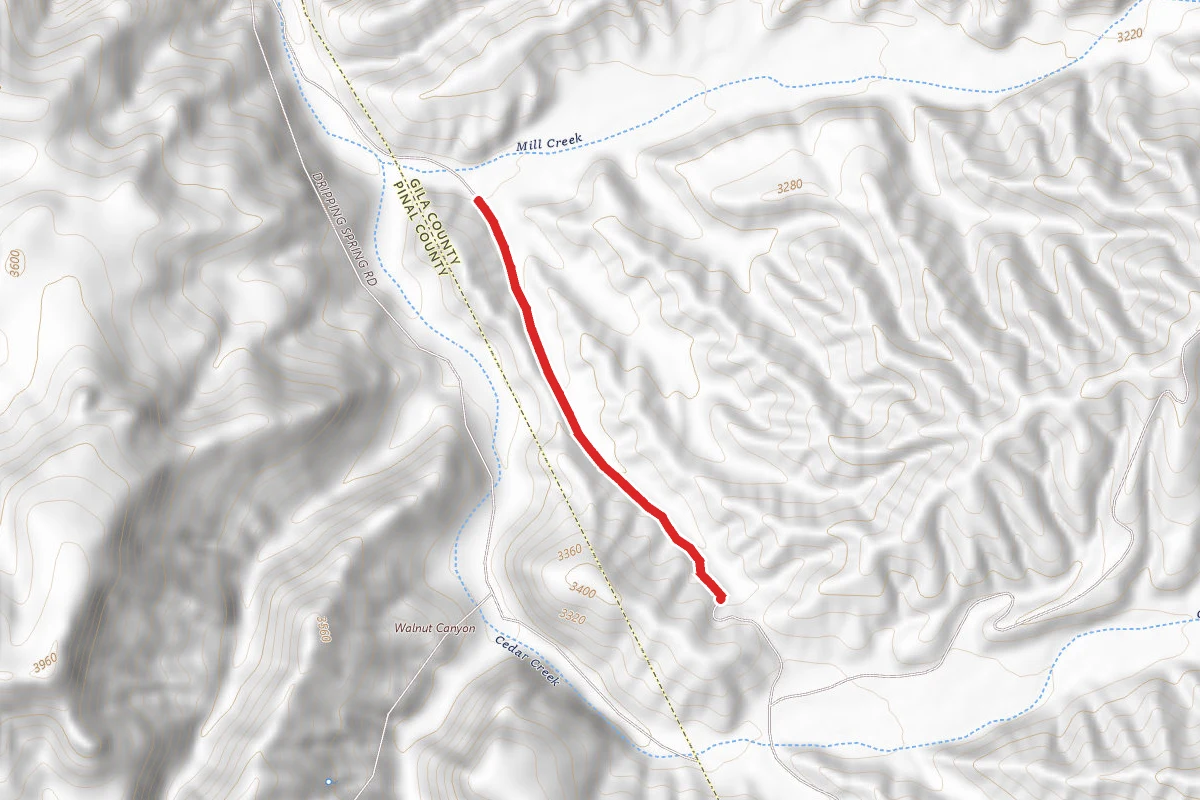 Dripping Springs Road