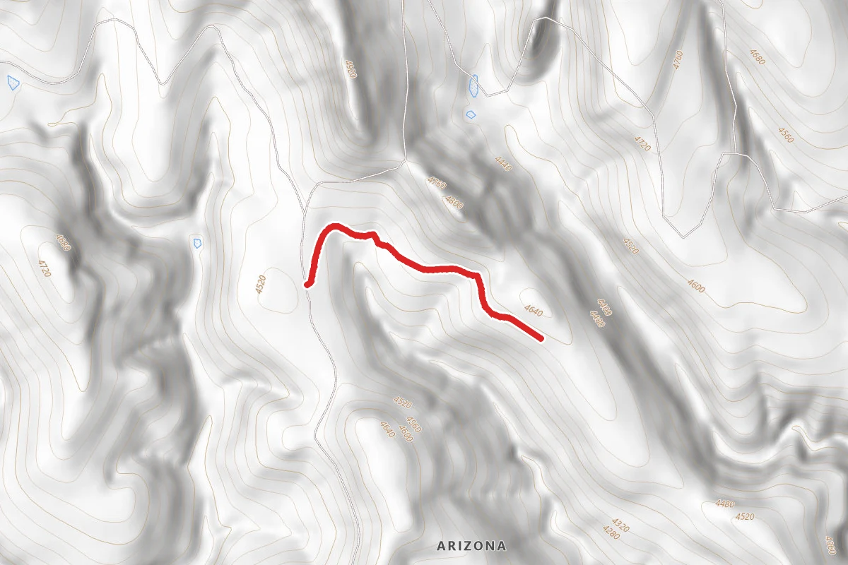 Bull Gap Road