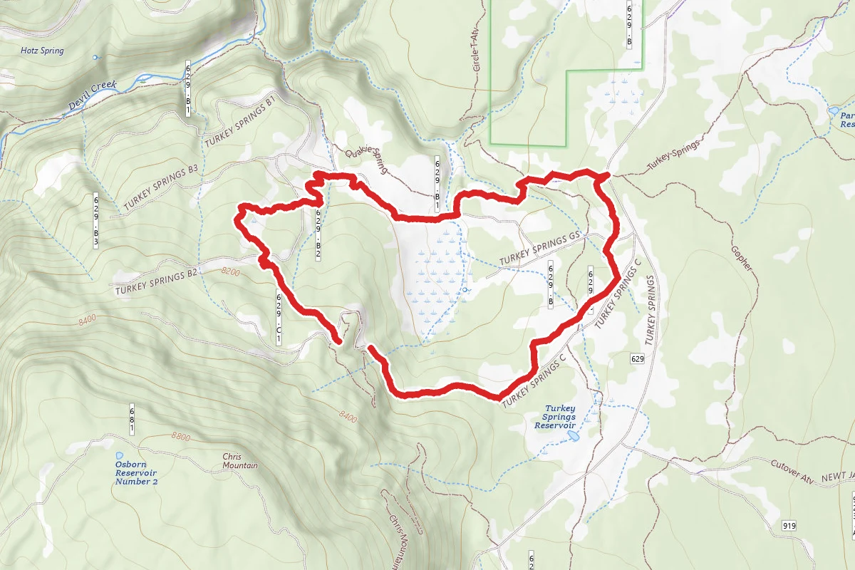 Turkey Springs Bypass Trail