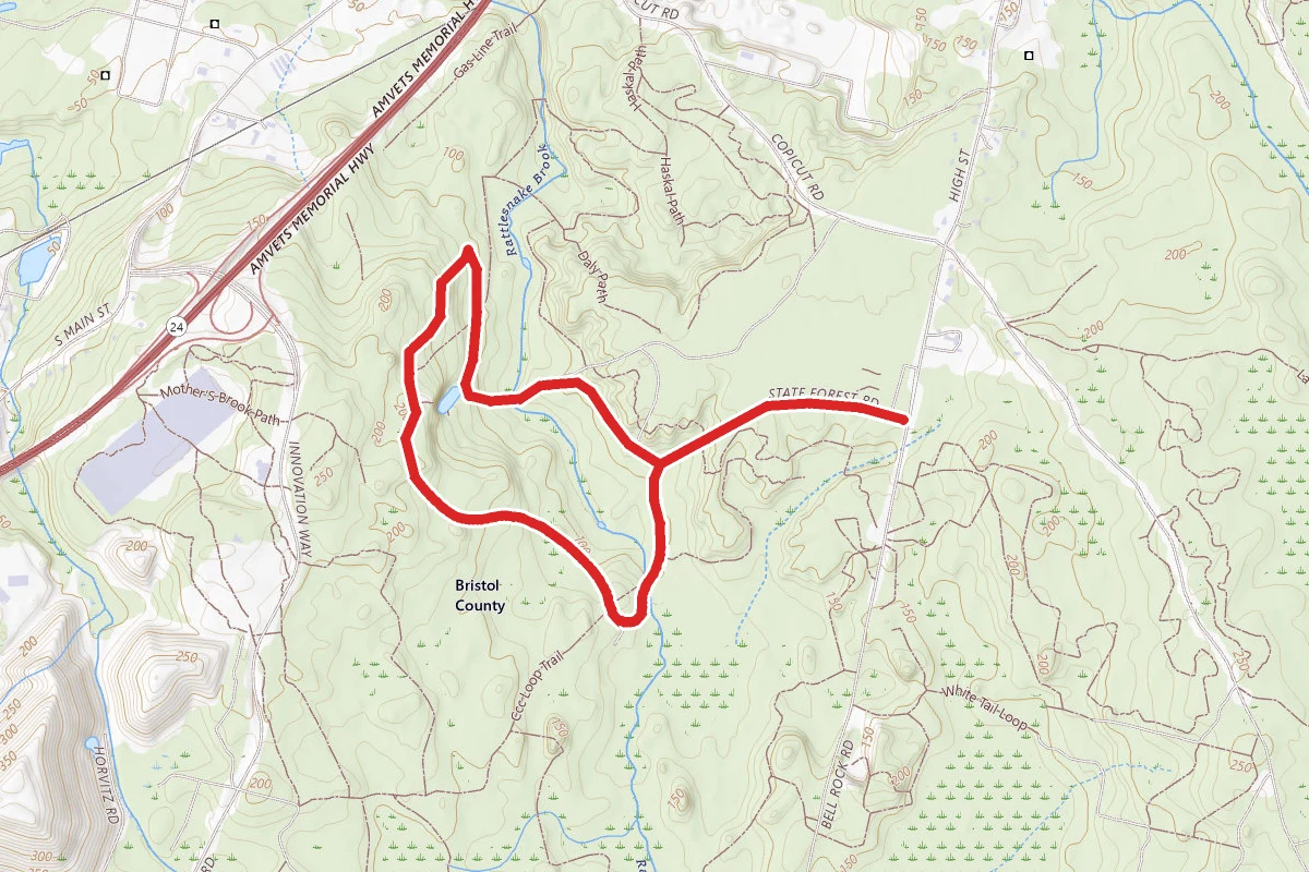 The Ledge Loop