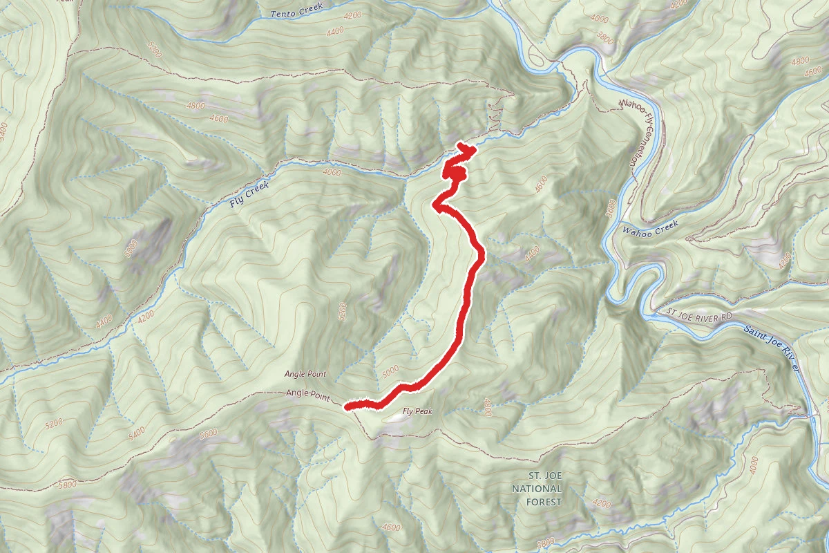 Fly Peak