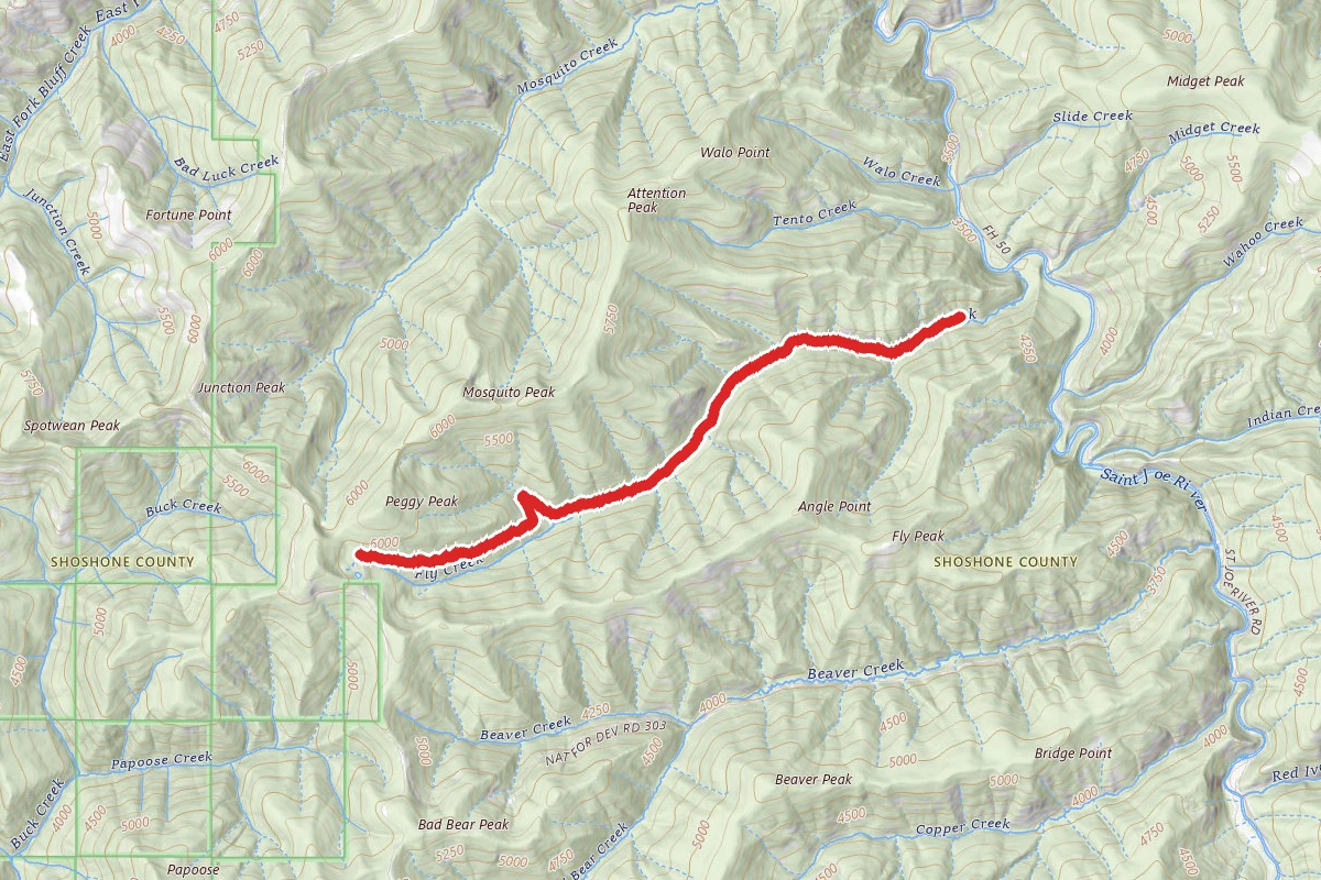 Fly Creek