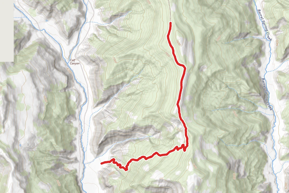Flight of the Icarus Trail