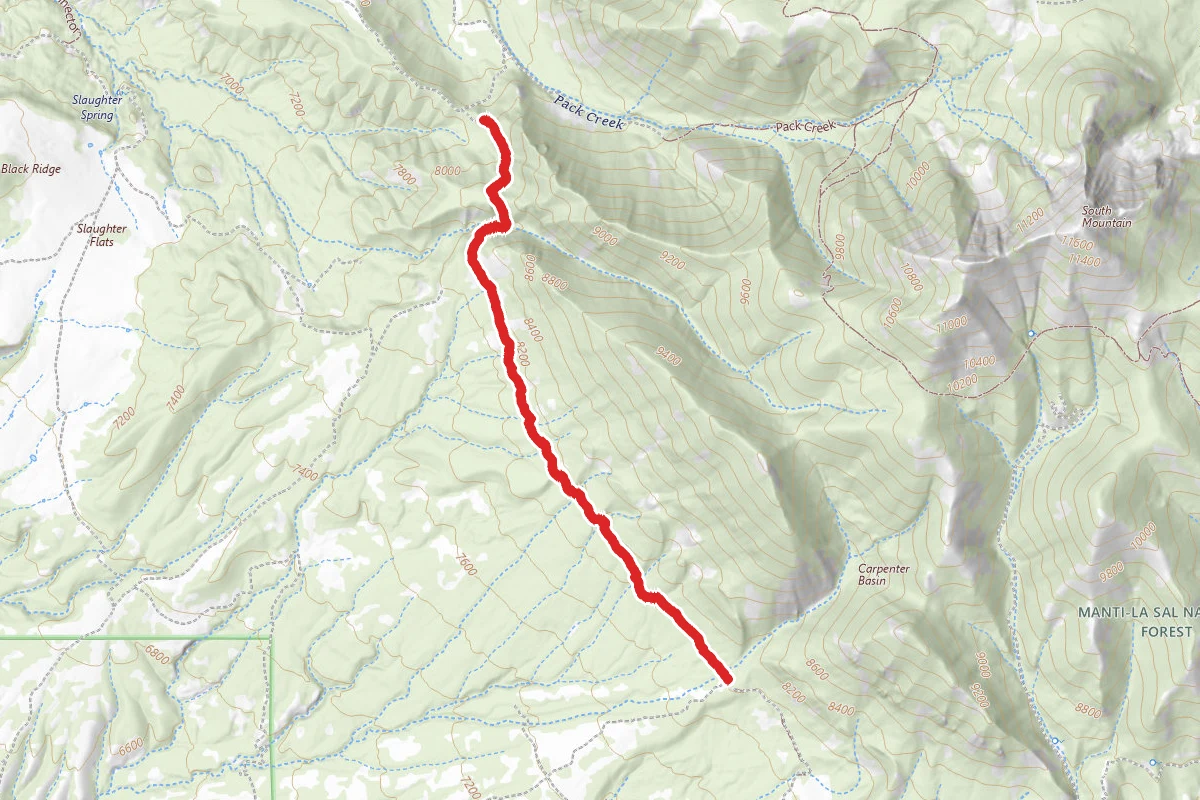 Carpenter Basin