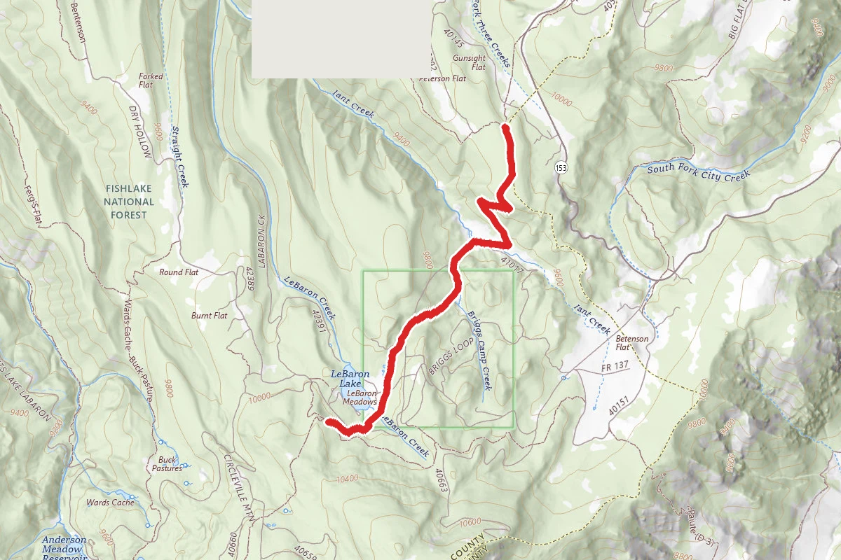 Road 575 to Big Flat