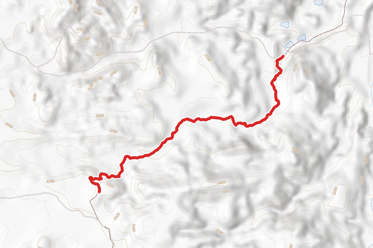 Arizona Trail