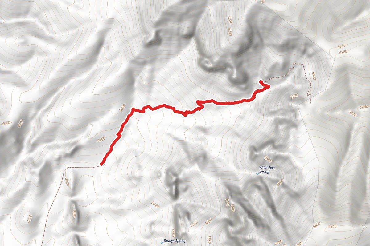 Safford-Morenci Trail