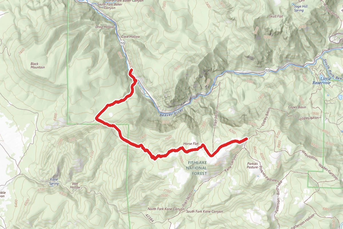 Wet Hollow - Wades Canyon