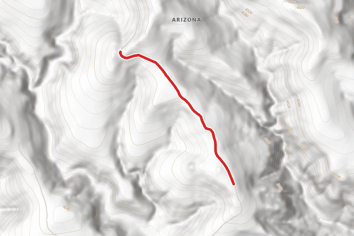 Bull Gap Road