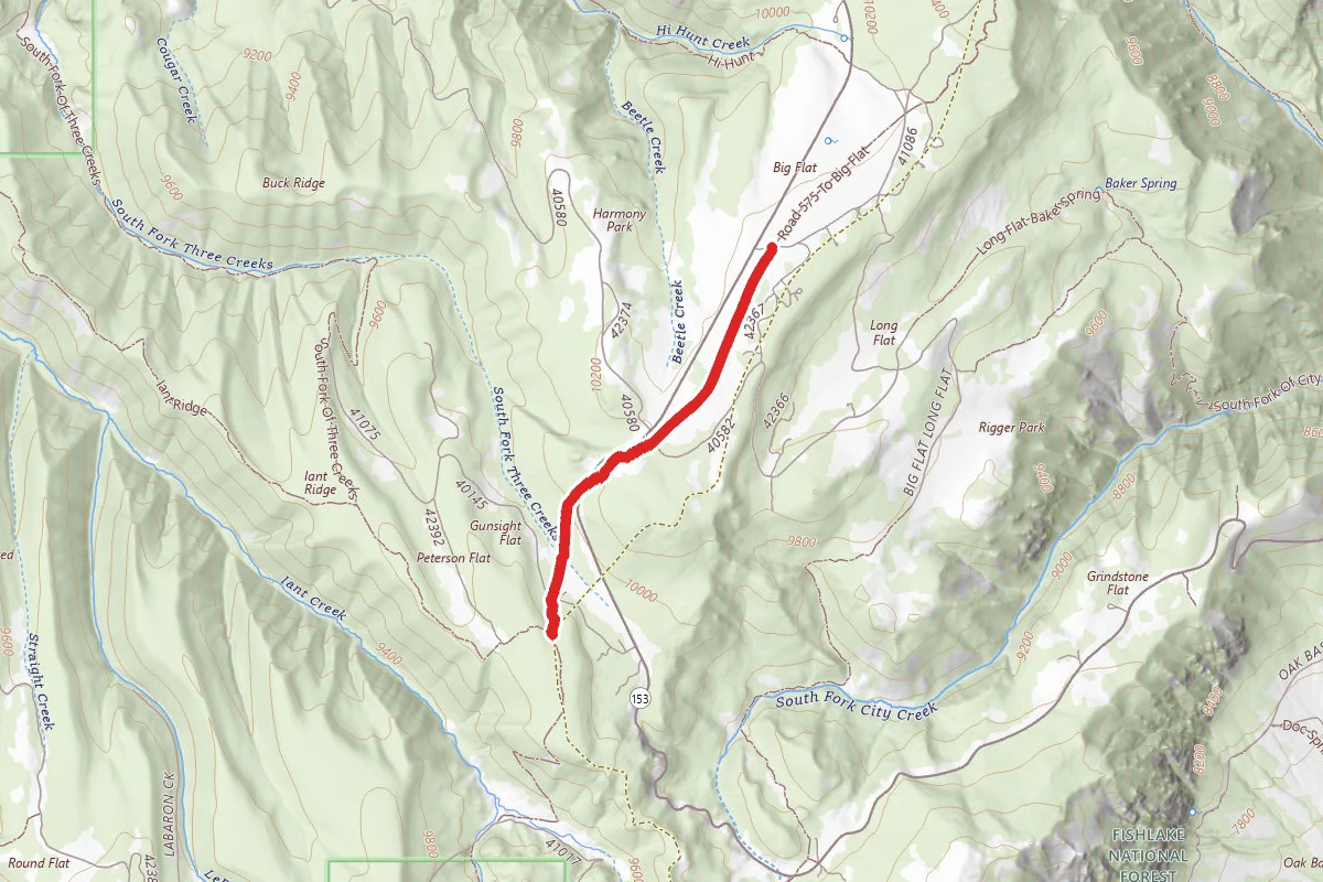 Road 575 to Big Flat