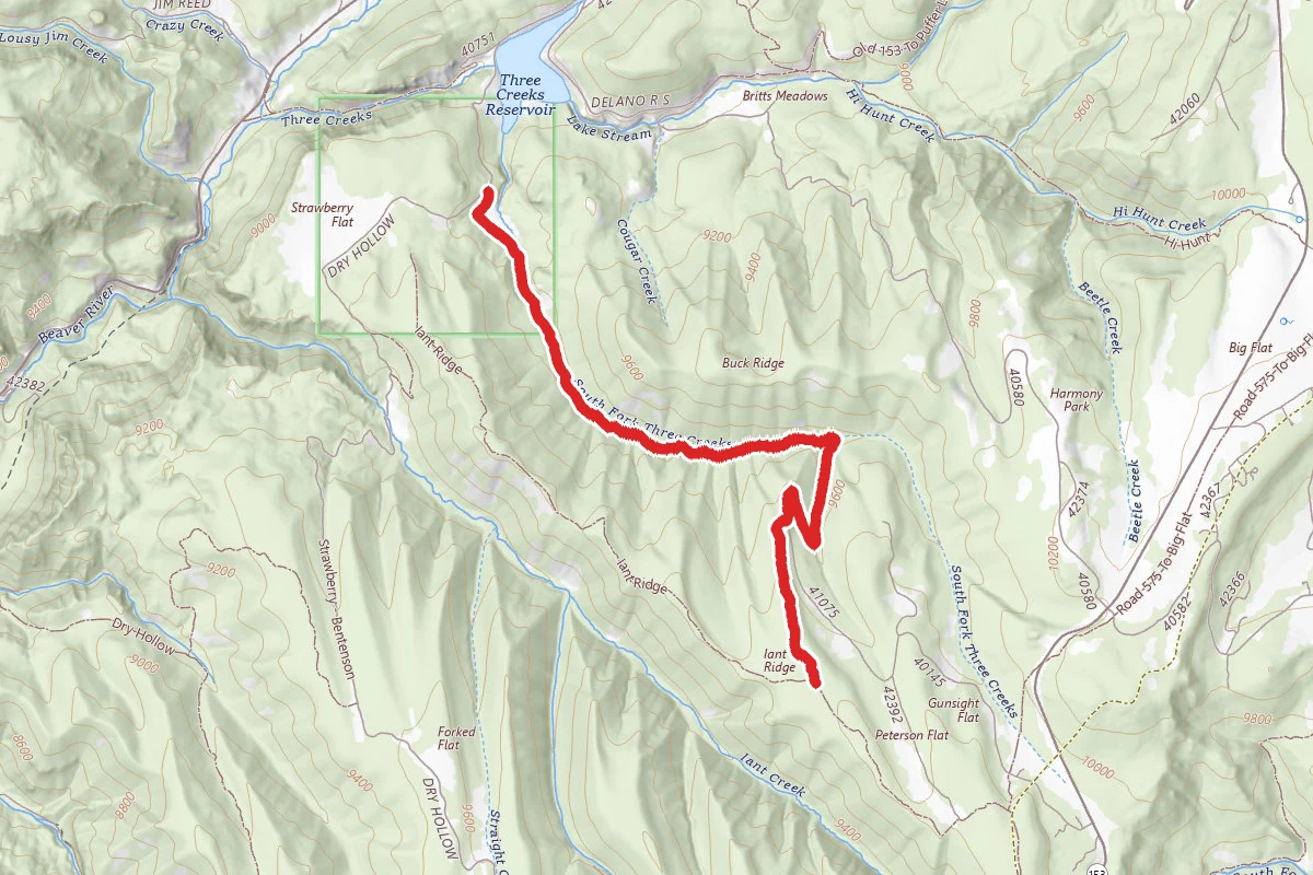 South Fork of Three Creeks