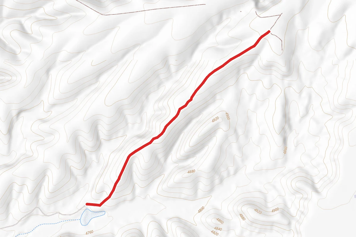 Road Canyon