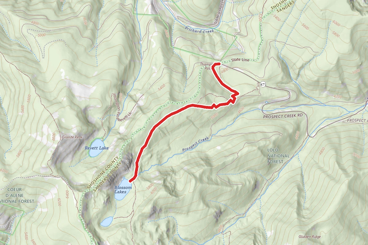 Blossom Lakes Trail