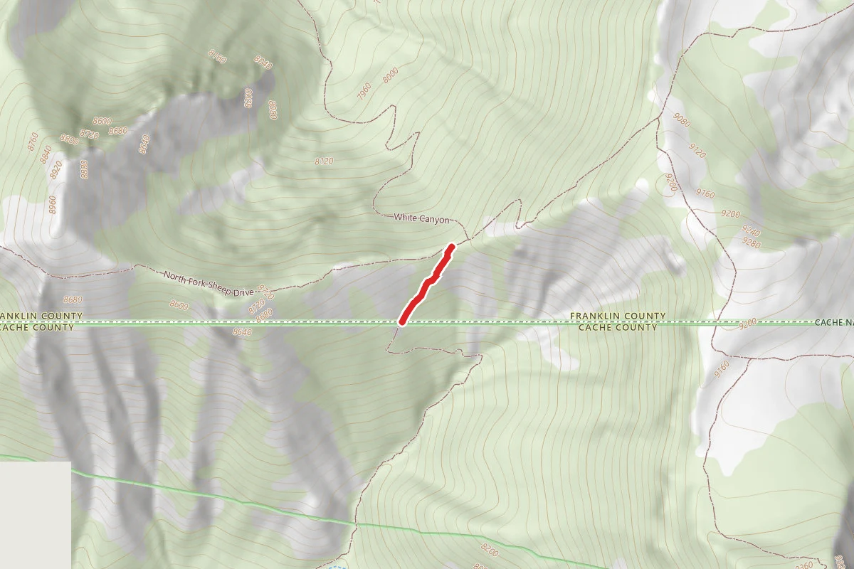 North Fork High Creek West