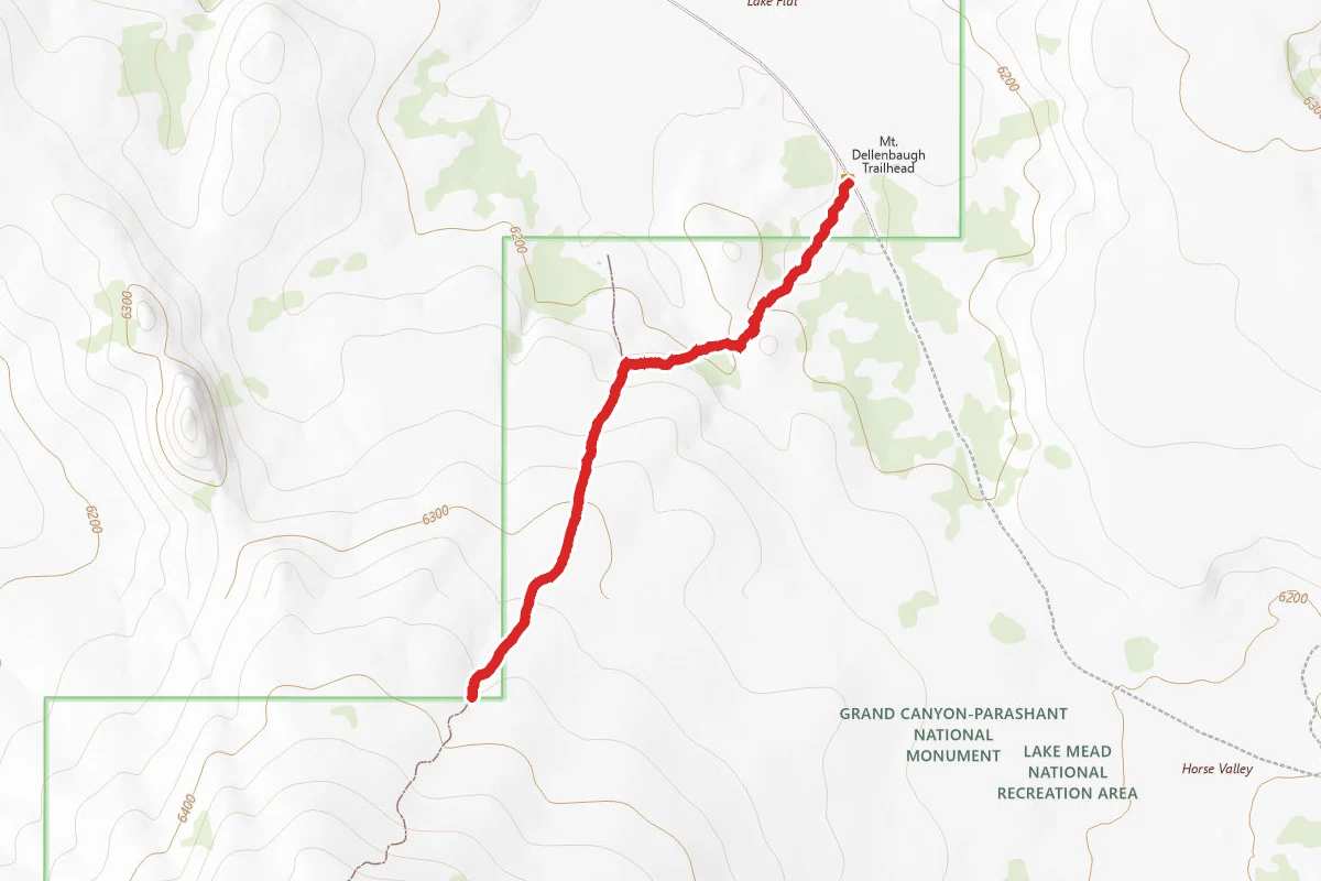 Mount Dellenbaugh Summit Trail