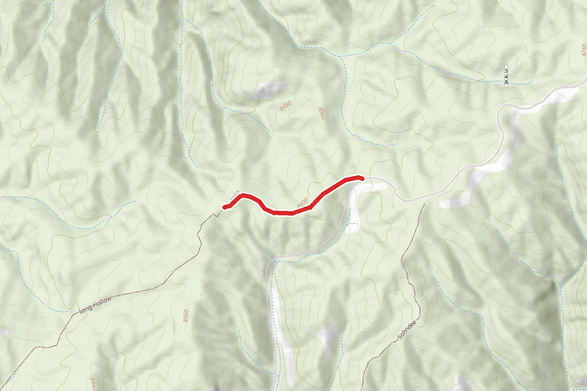 Long Hollow Trail