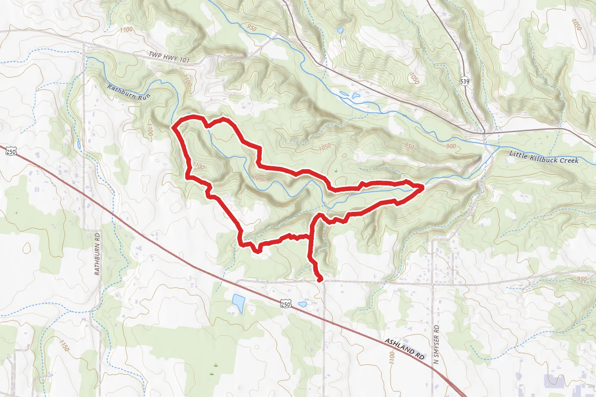 Wooster Memorial Park Loop