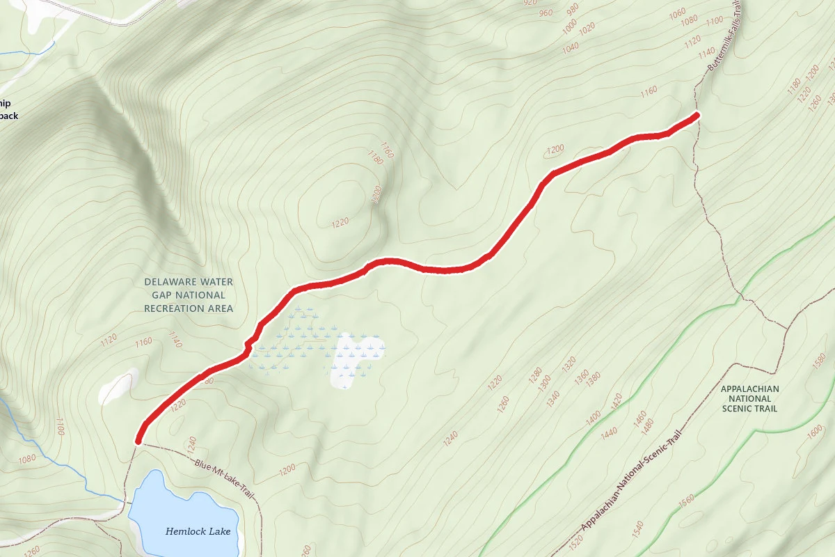 Woods Road Trail