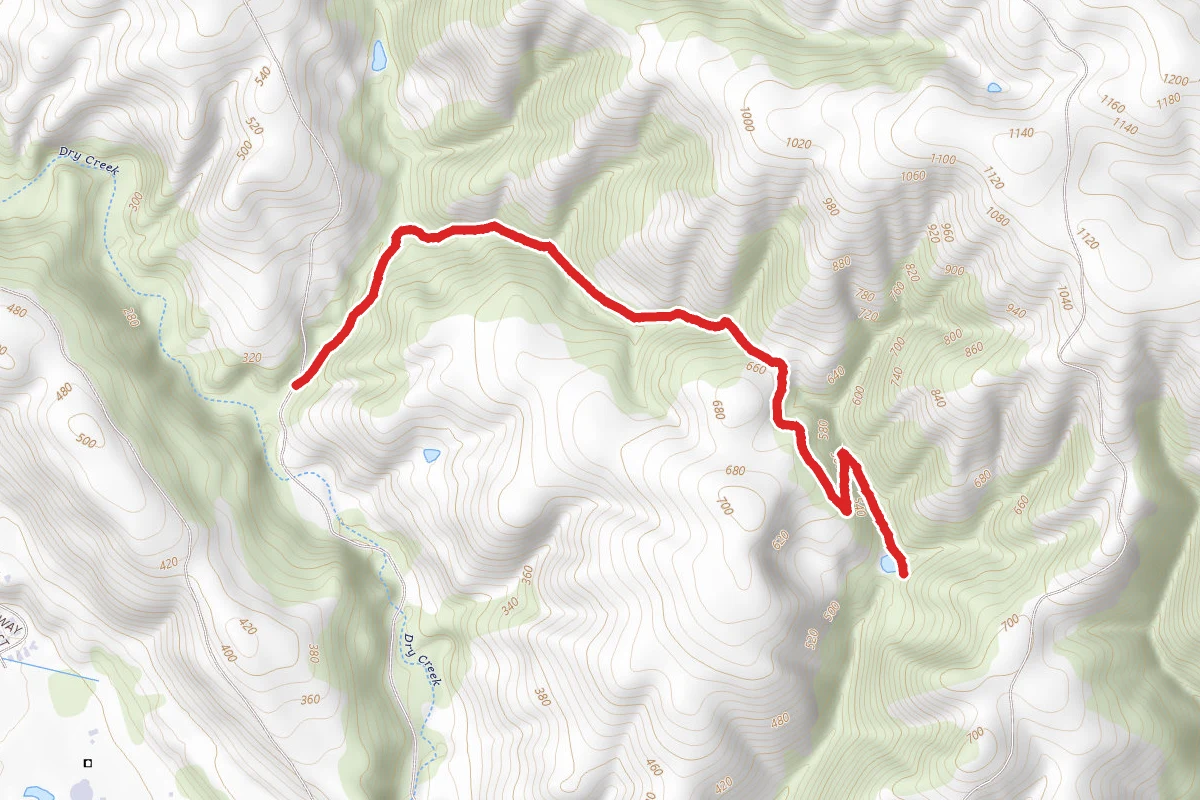 Pioneer Trail