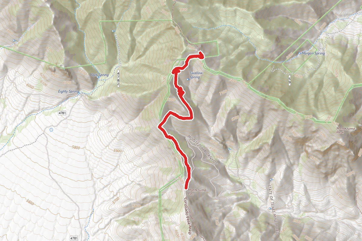 Crest Trail