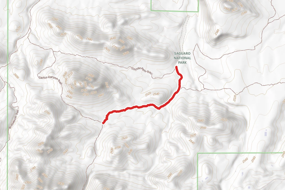 Gila Monster Trail