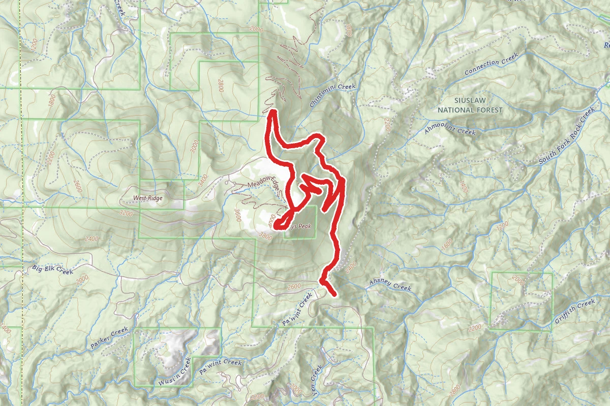 Mary's Peak East Ridge Trail