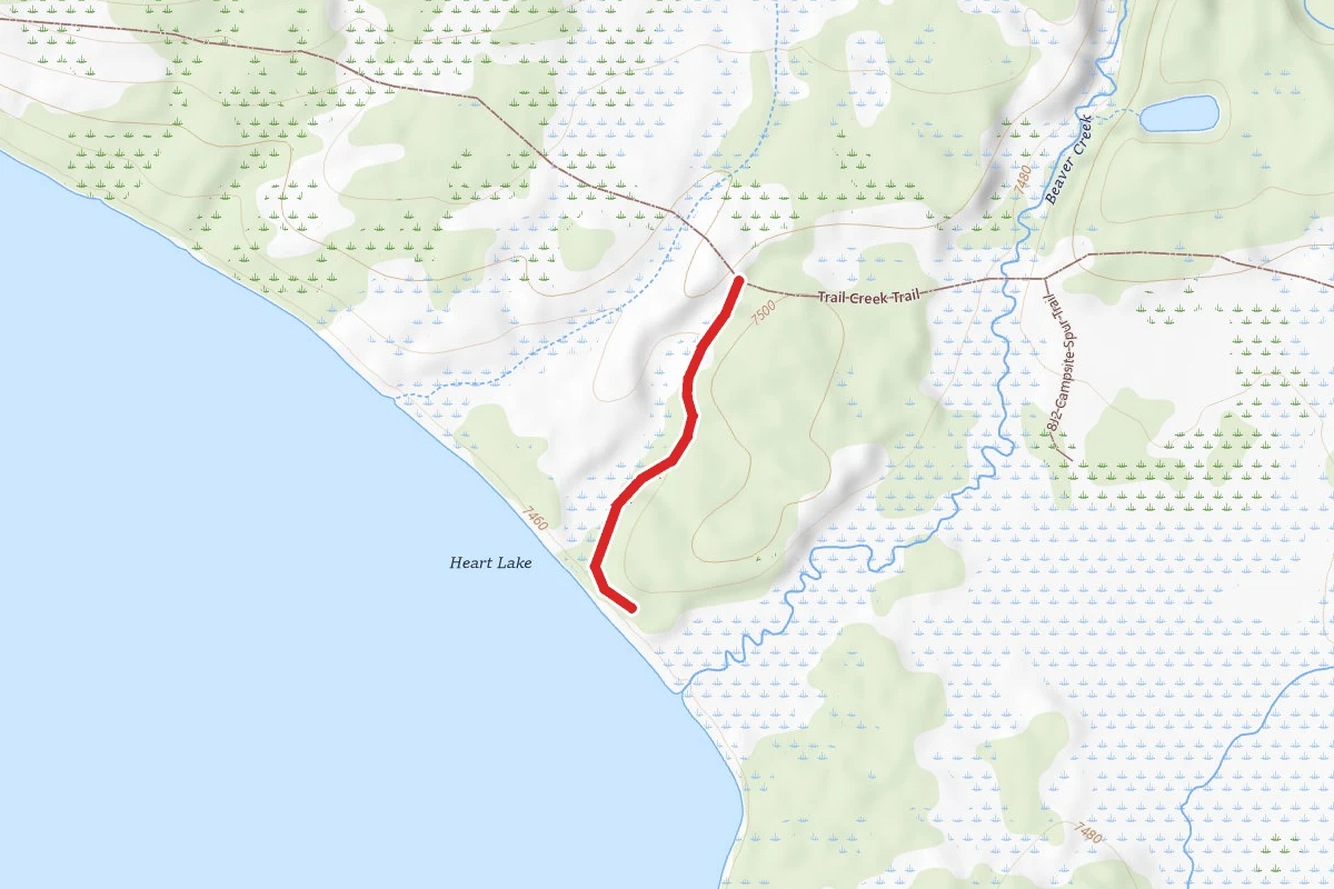 8J1 Campsite Spur Trail