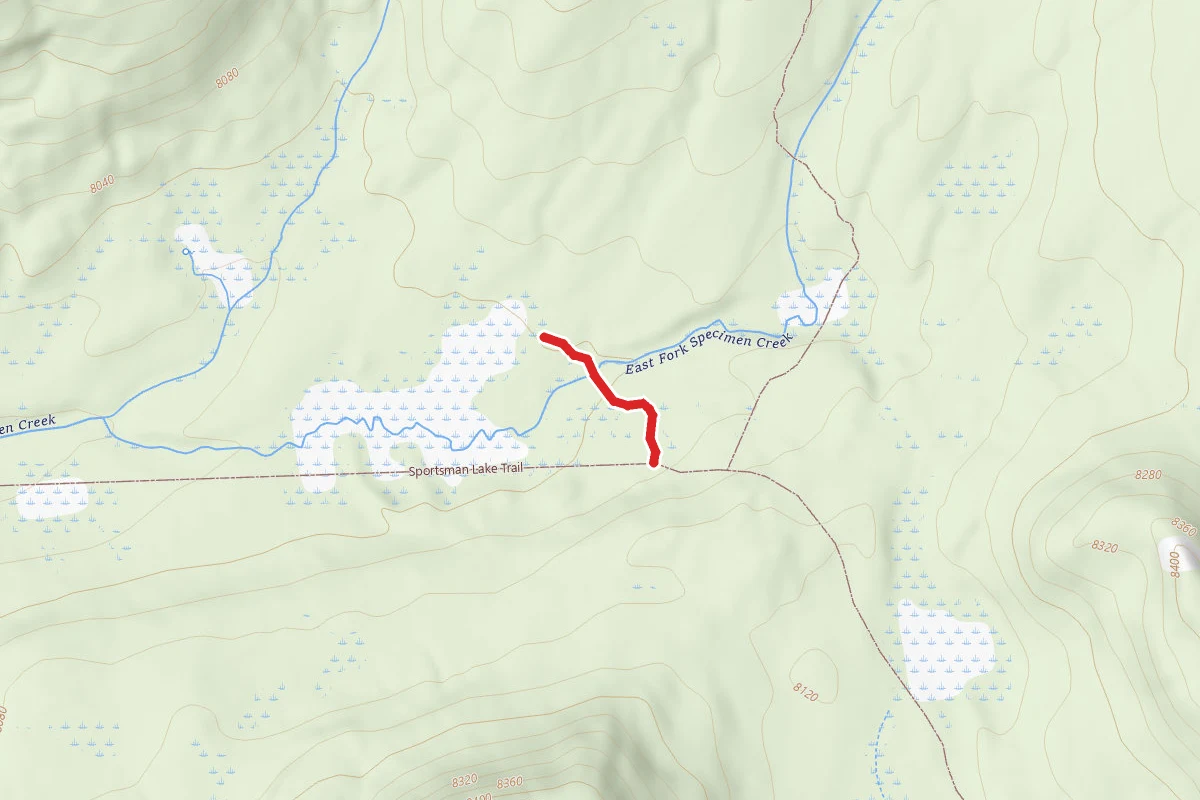 WD6 Campsite Spur Trail