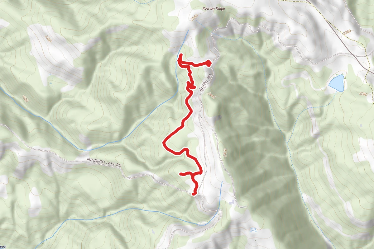 Ancient Oaks Trail