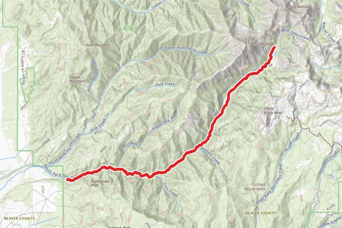 South Fork of North Creek