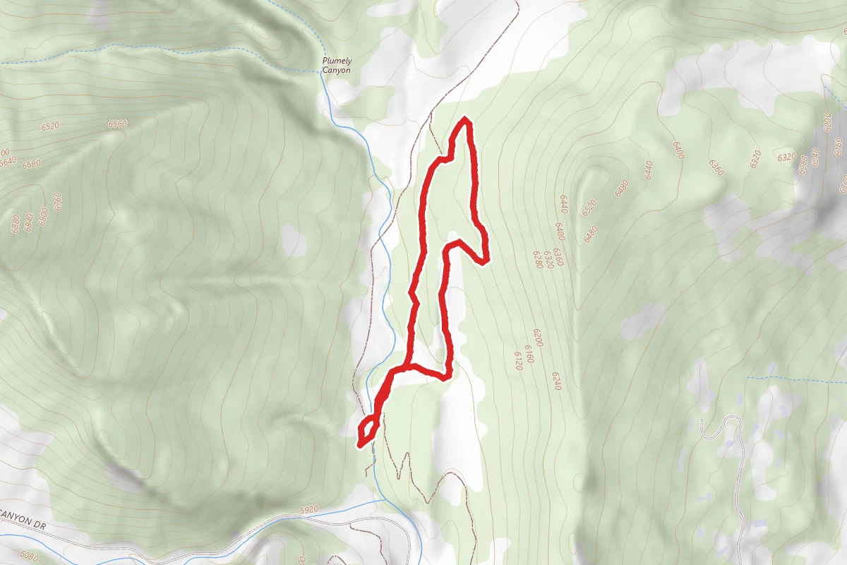 Lichen Loop Trail